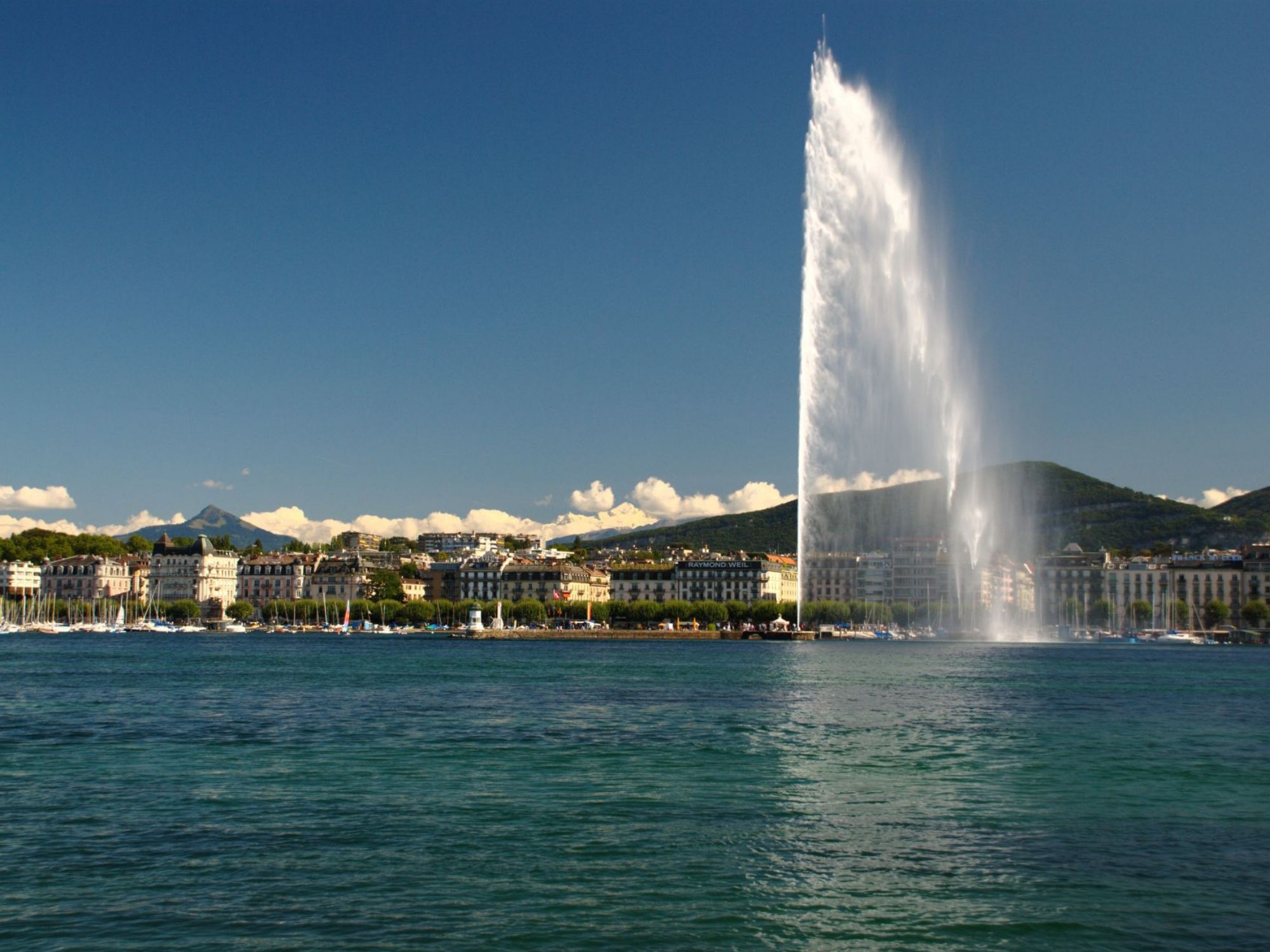 3896307527_3083846f92_o