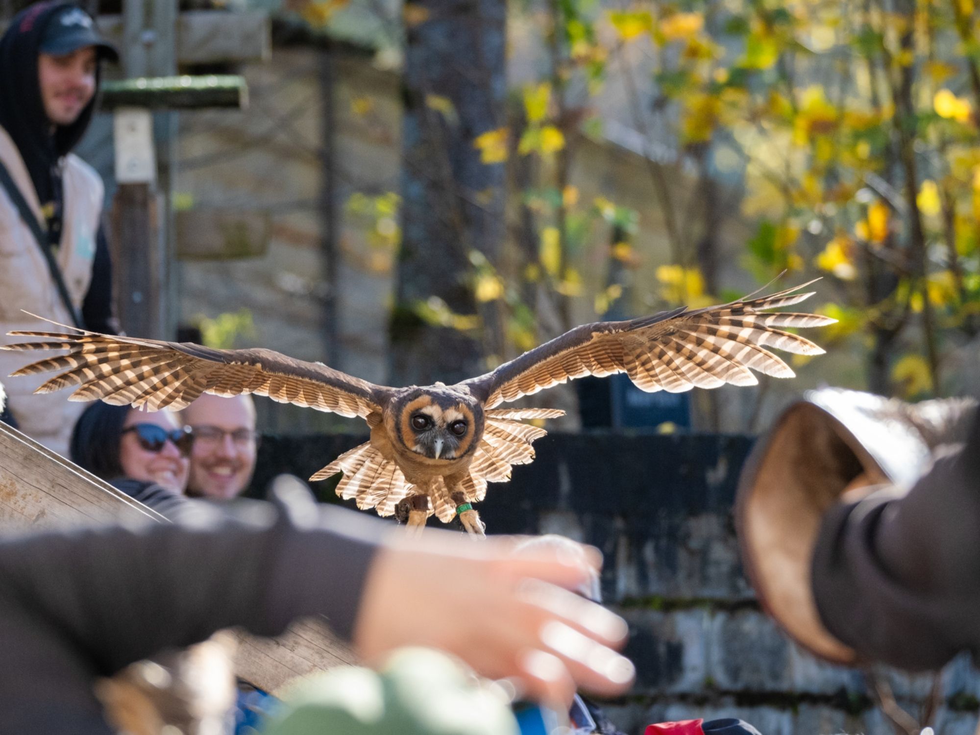 prezentatsiya-po-podemu-sikipark2024-1080px