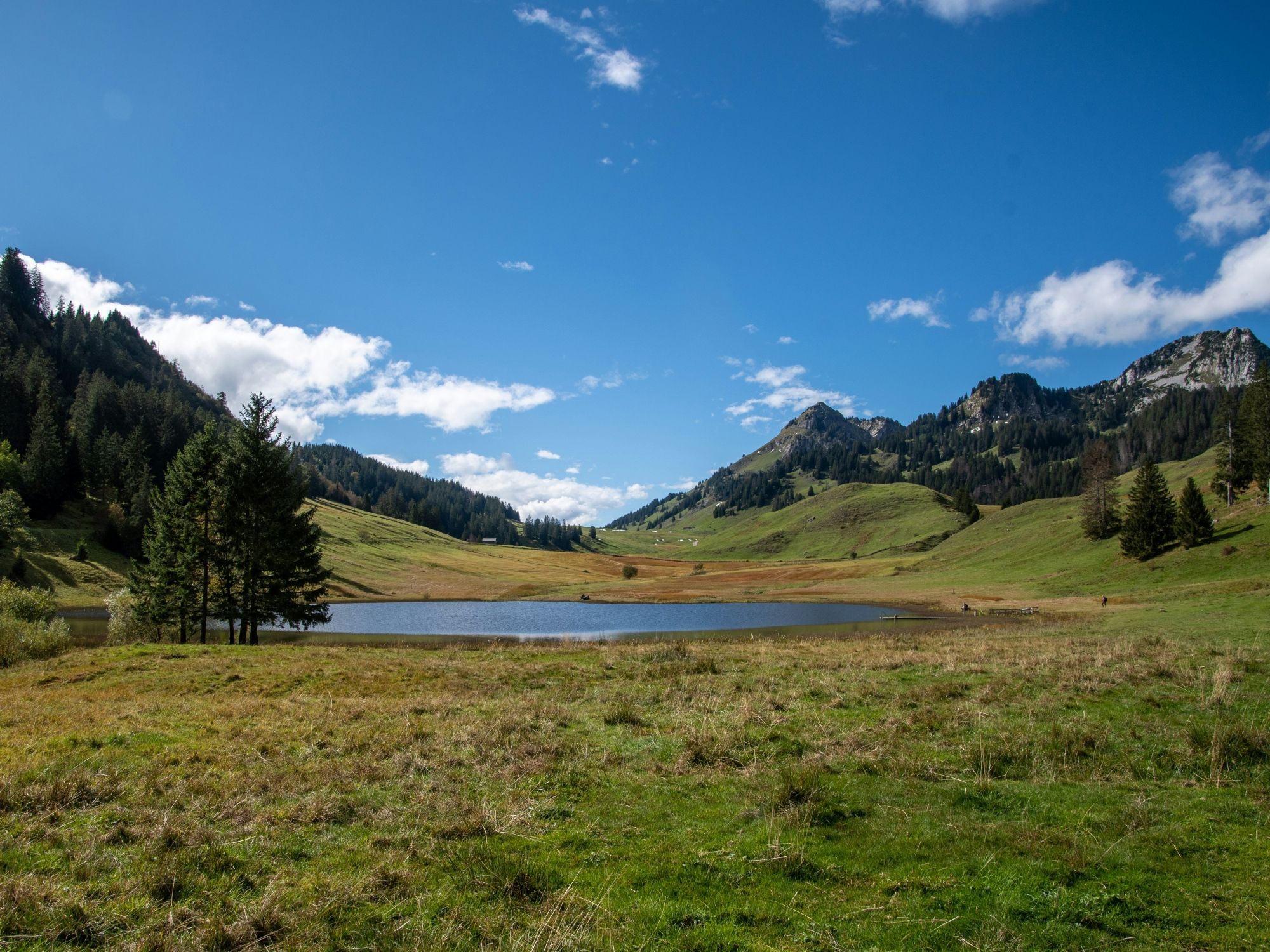 01 ivan-louis-cvZ1SP-d4xk-unsplash