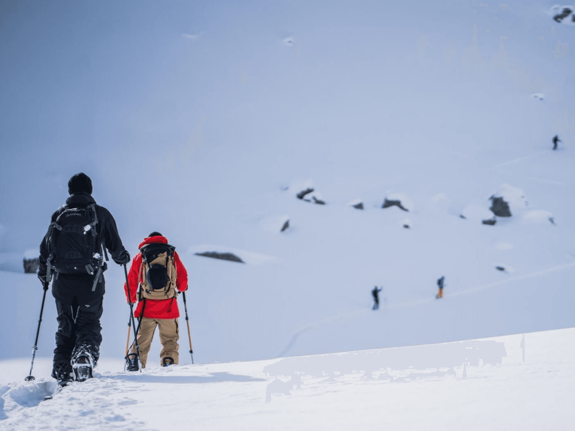 Eroe_1423x523_ufficio_dei_guides_92685f262d