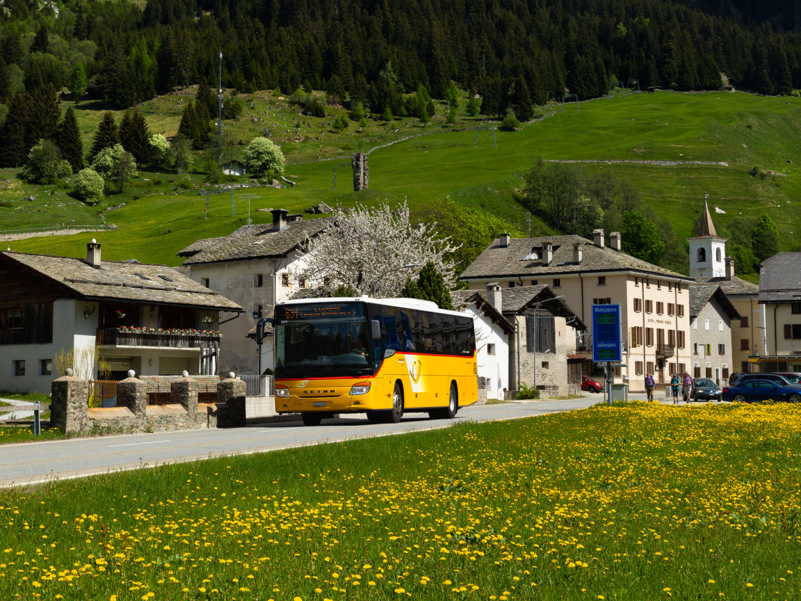 贝尔根山巴士在夏日阳光下穿越开满鲜花的草地。