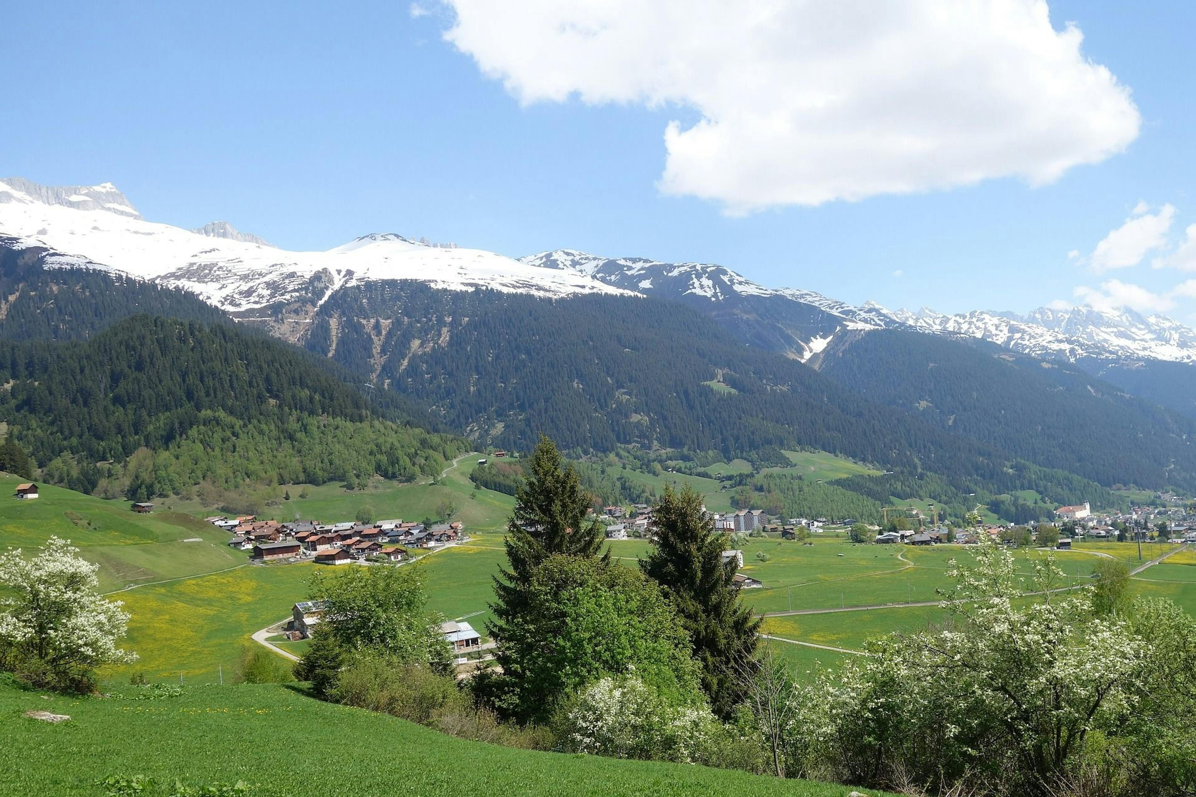 Disentis: idyllisk landskab med sneklædte bjerge og grønne enge om foråret.