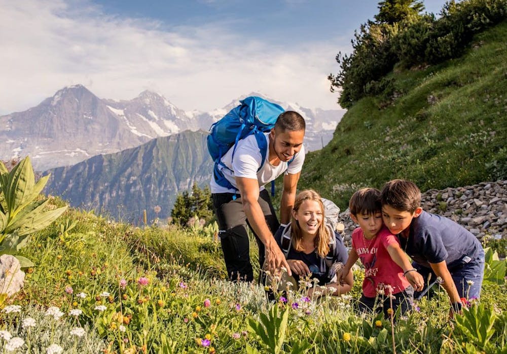 Family Excursion Switzerland Schynige Platte Hiking Alpine Garden - Jungfraubahnen AG