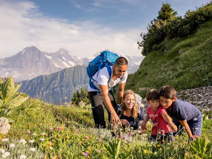 Familienausflug auf der Schynigen Platte beim Wandern im Alpengarten mit Blumen im Vordergrund.