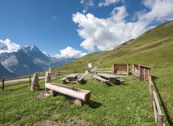 Trilho do Marmoteiro: relaxa na relva com vista para as montanhas e desfruta da natureza no verão.