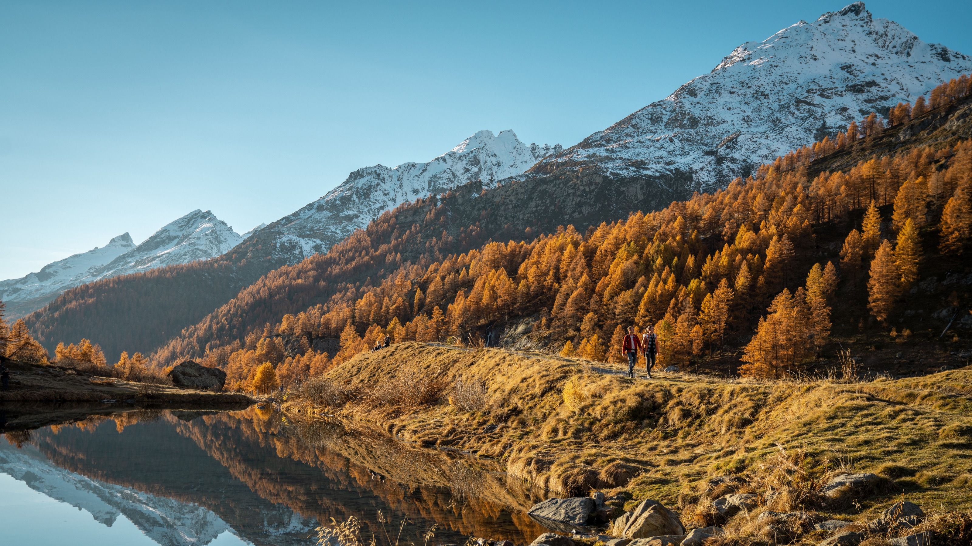 स्विट्ज़रलैंड की पर्वतीय परिदृश्य में शरद ऋतु की यात्रा