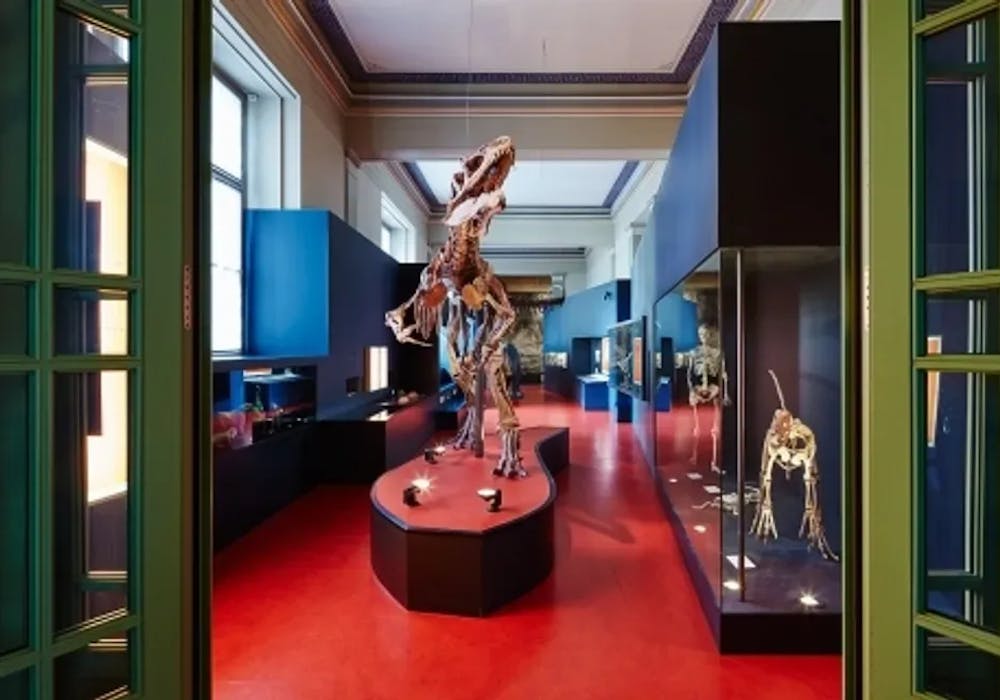 Musée d'histoire naturelle de Bâle (photo : MxSwitzerland)