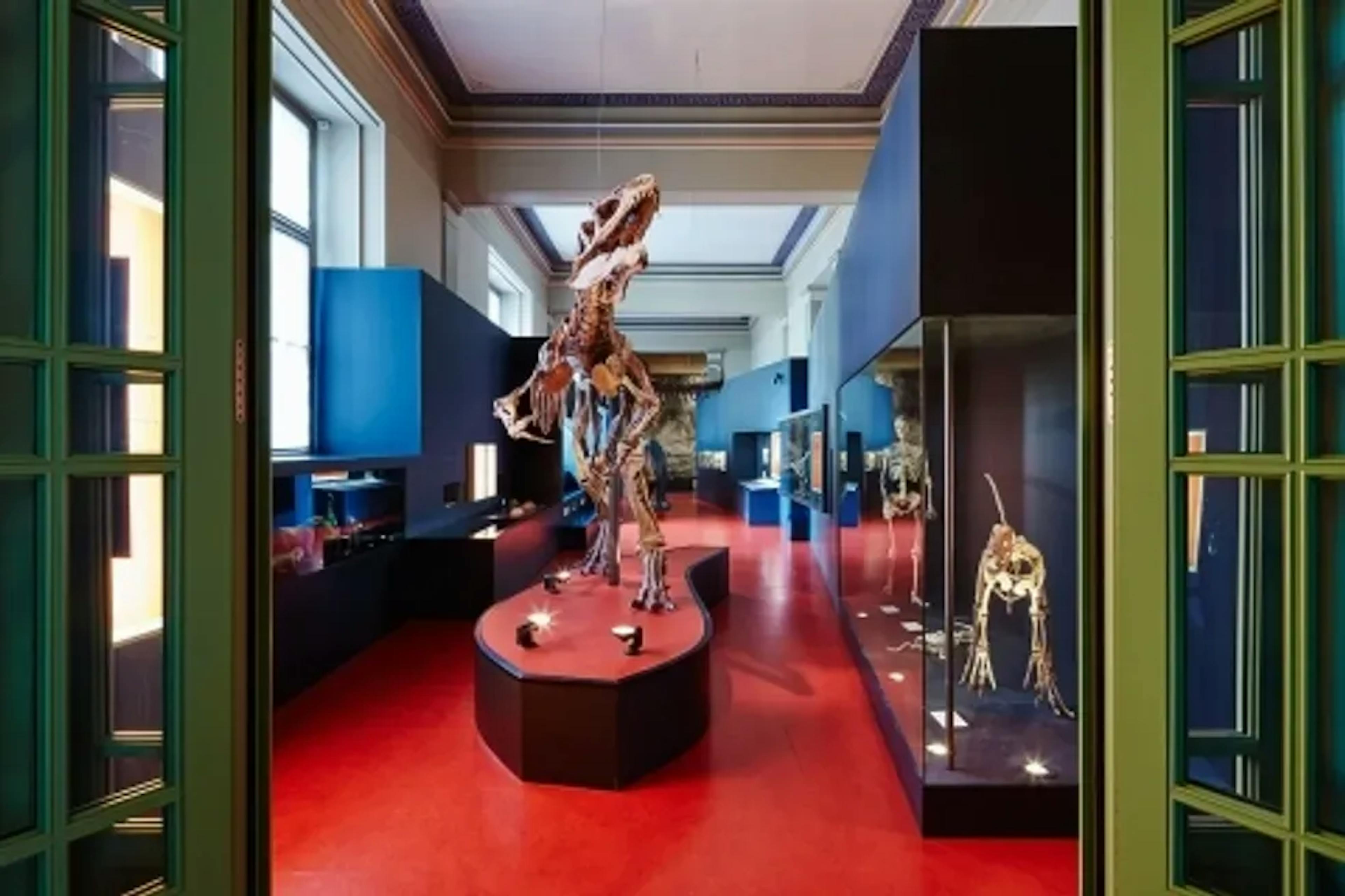 Natural History Museum Basel (Photo: MxSwitzerland)