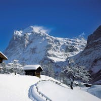 Schneeschuhwandern Grindelwald