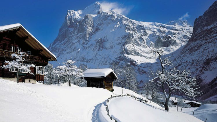 Snowshoeing Grindelwald