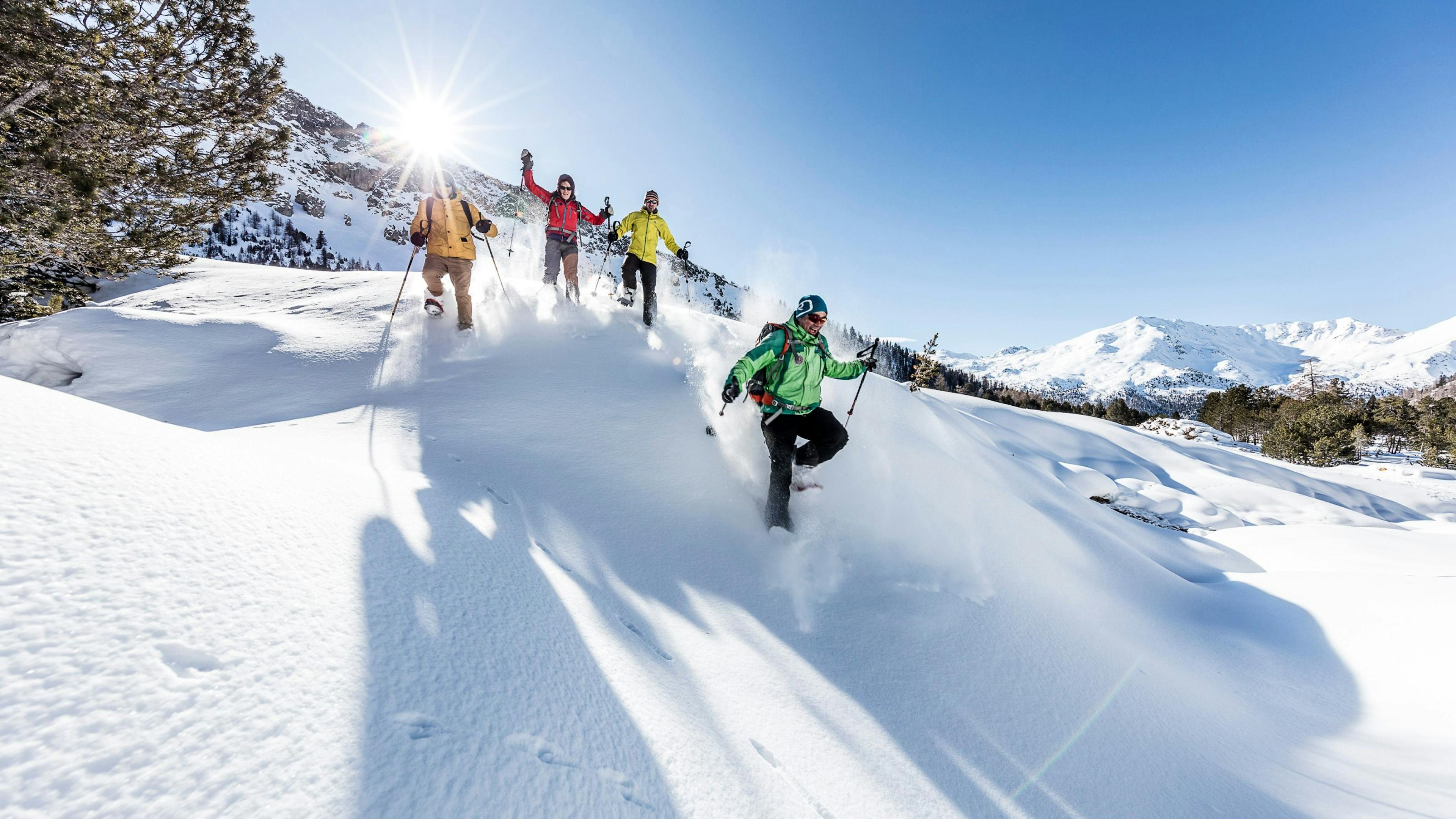 Snowshoeing Switzerland