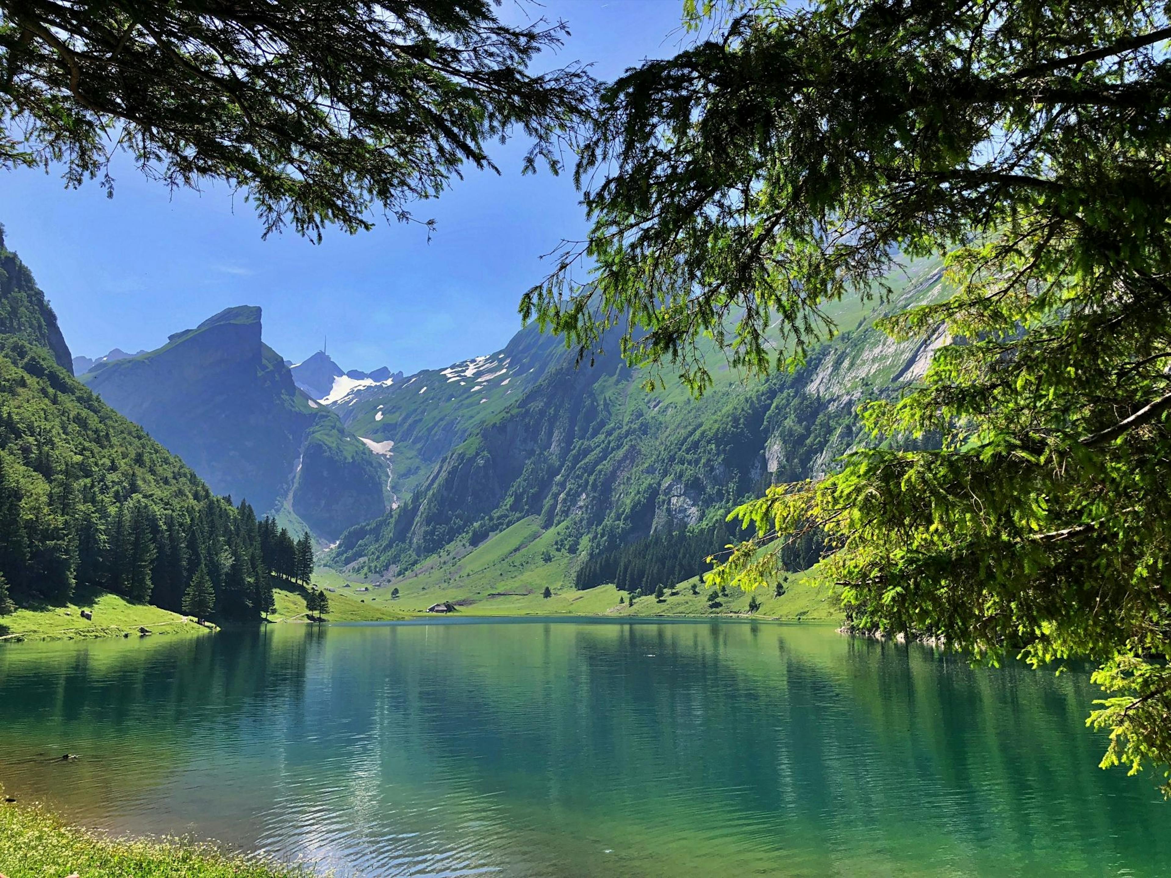 Seealpsee: fantastisk landskab med bjerge, vand og grøn natur i Appenzell om sommeren.