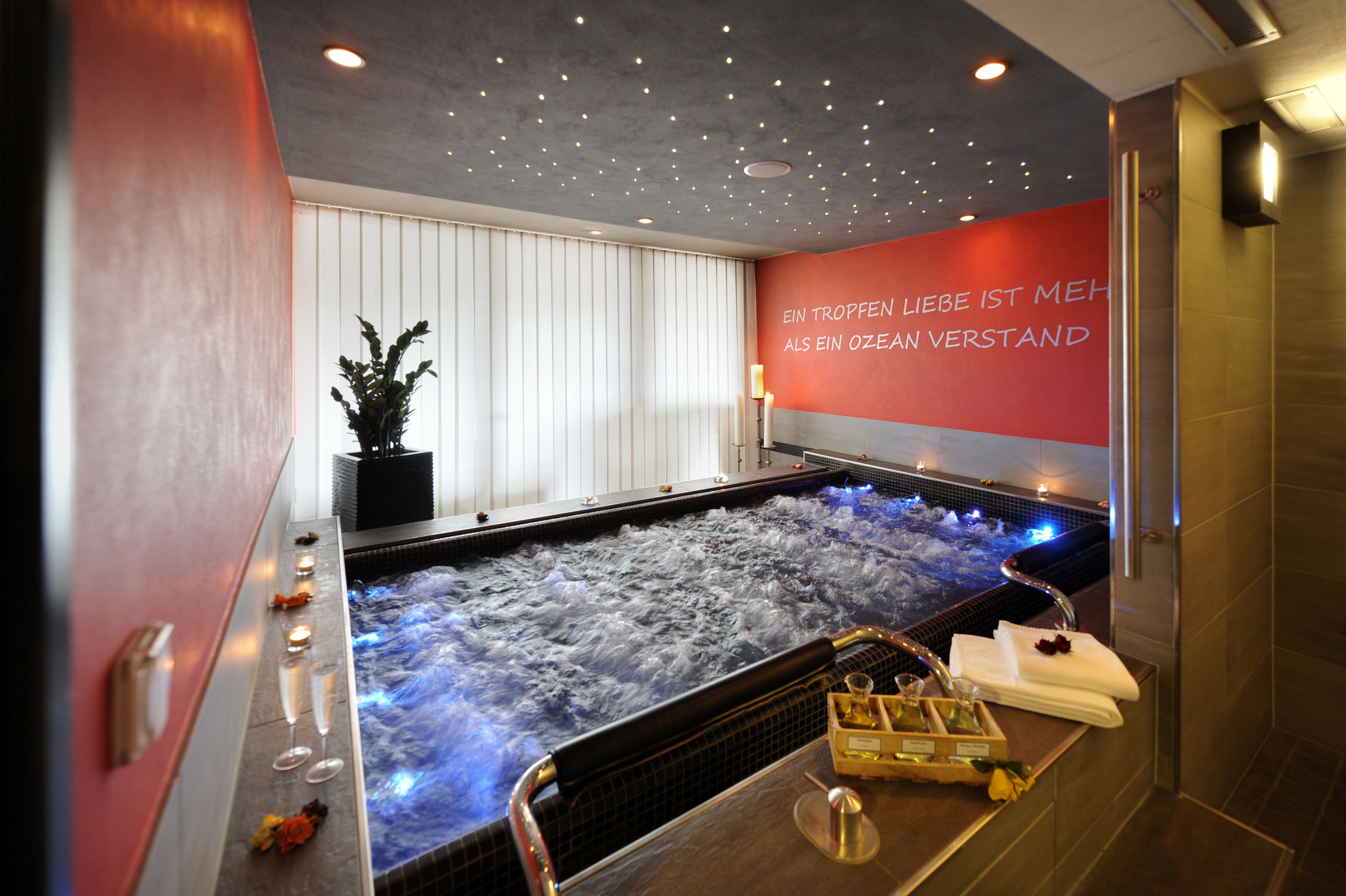 Bloemenpool: ontspannend wellnessgebied met waterattracties en moderne elementen