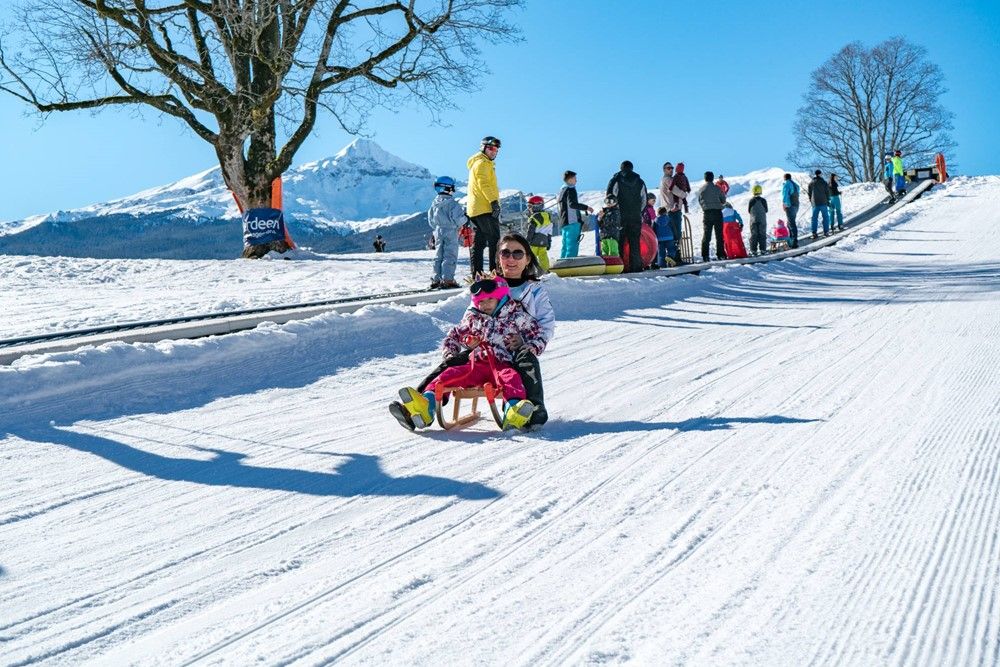 Sledding Grindelwald the most beautiful toboggan runs 2022 Swiss