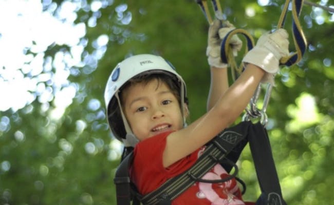 Parchi avventura: Bambino felice mentre arrampica nel ROPETECH Bern in estate. Vivere avventura e natura.