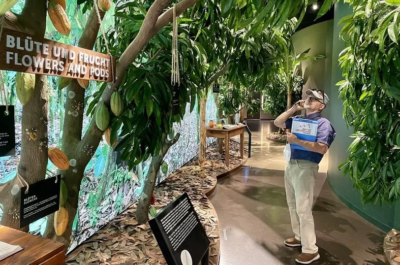 琳达巧克力之家：在博物馆中体验可可植物的迷人世界。