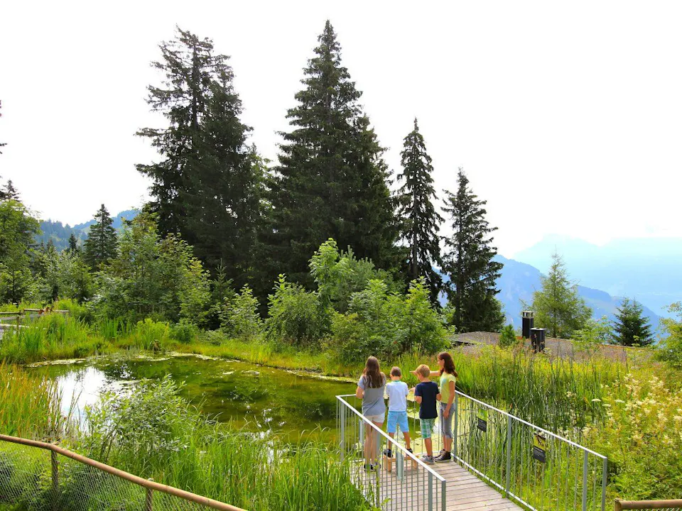 Rigi Kaltbad Biotop Kinderspielplatz