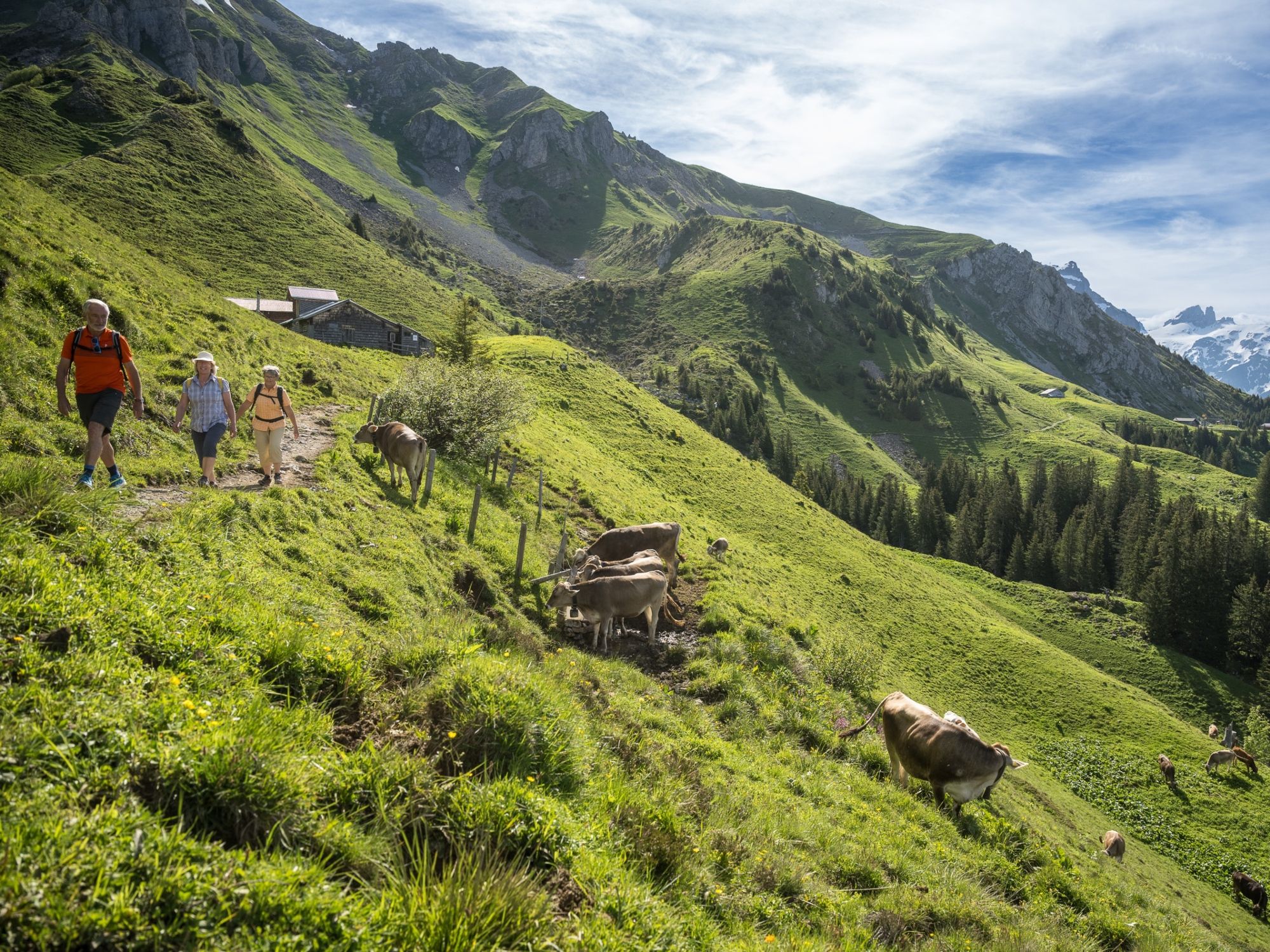 Пеший туризм в Брунни: откройте для себя потрясающую природу и окрестности во время летних прогулок.