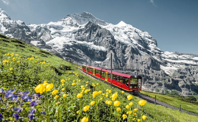 Jungfraubahn im Sommer (Foto: Jungfraubahnen)