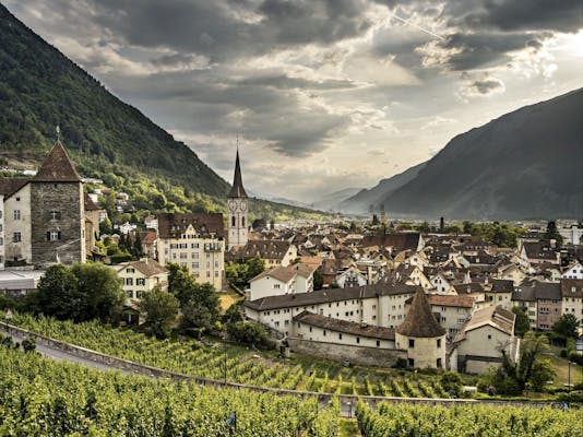 Blick auf die Stadt Chur (Foto: Schweiz Tourismus Markus Buehler-Rasom)