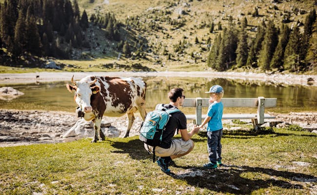 Nature Park Gantrisch family and goats (Photo: Switzerland Tourism, Ivo Scholz)