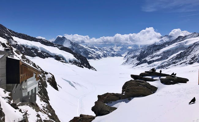 View on the Jungfraujoch (Photo: Seraina Zellweger)