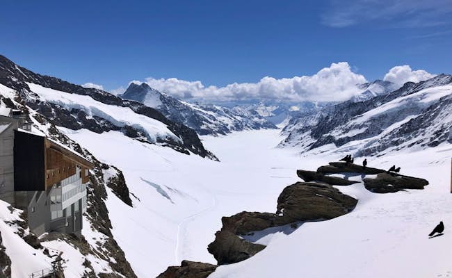 Vista dallo Jungfraujoch (Foto: Seraina Zellweger)