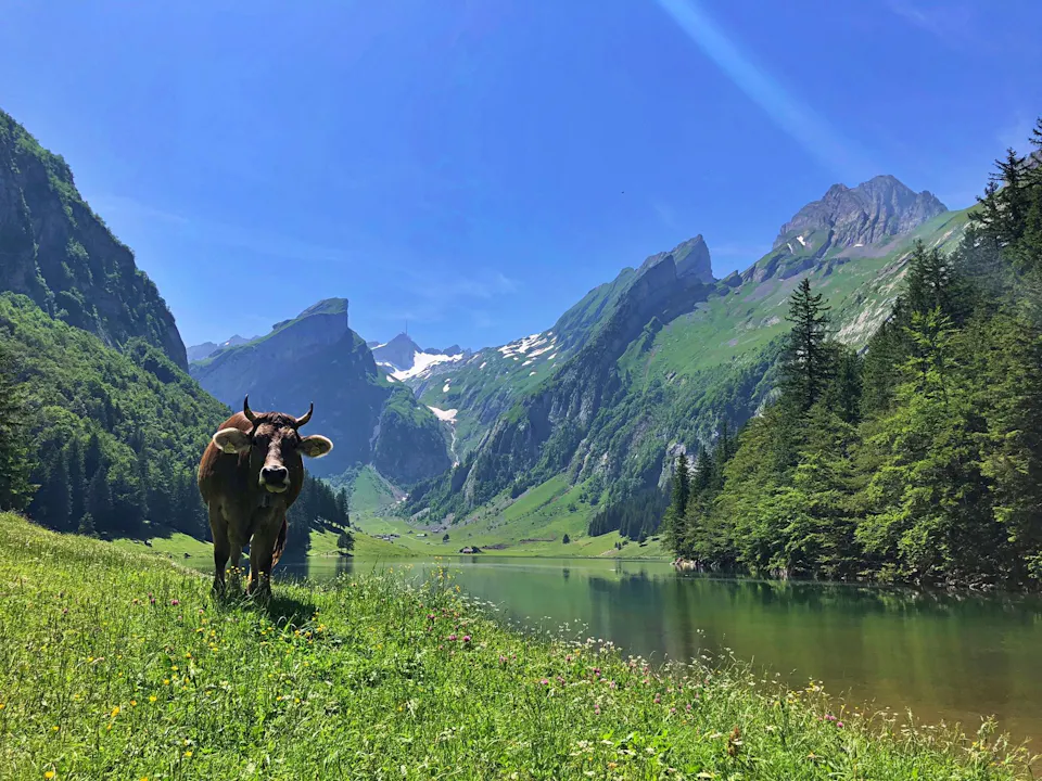 Seealpsee