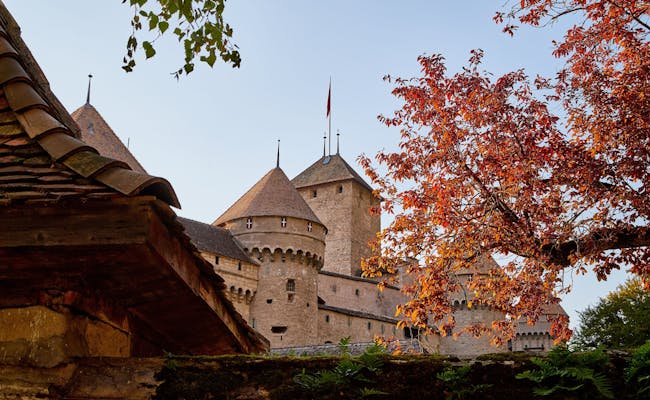 Schloss Chillon im Herbst mit Bäumen und buntem Laub