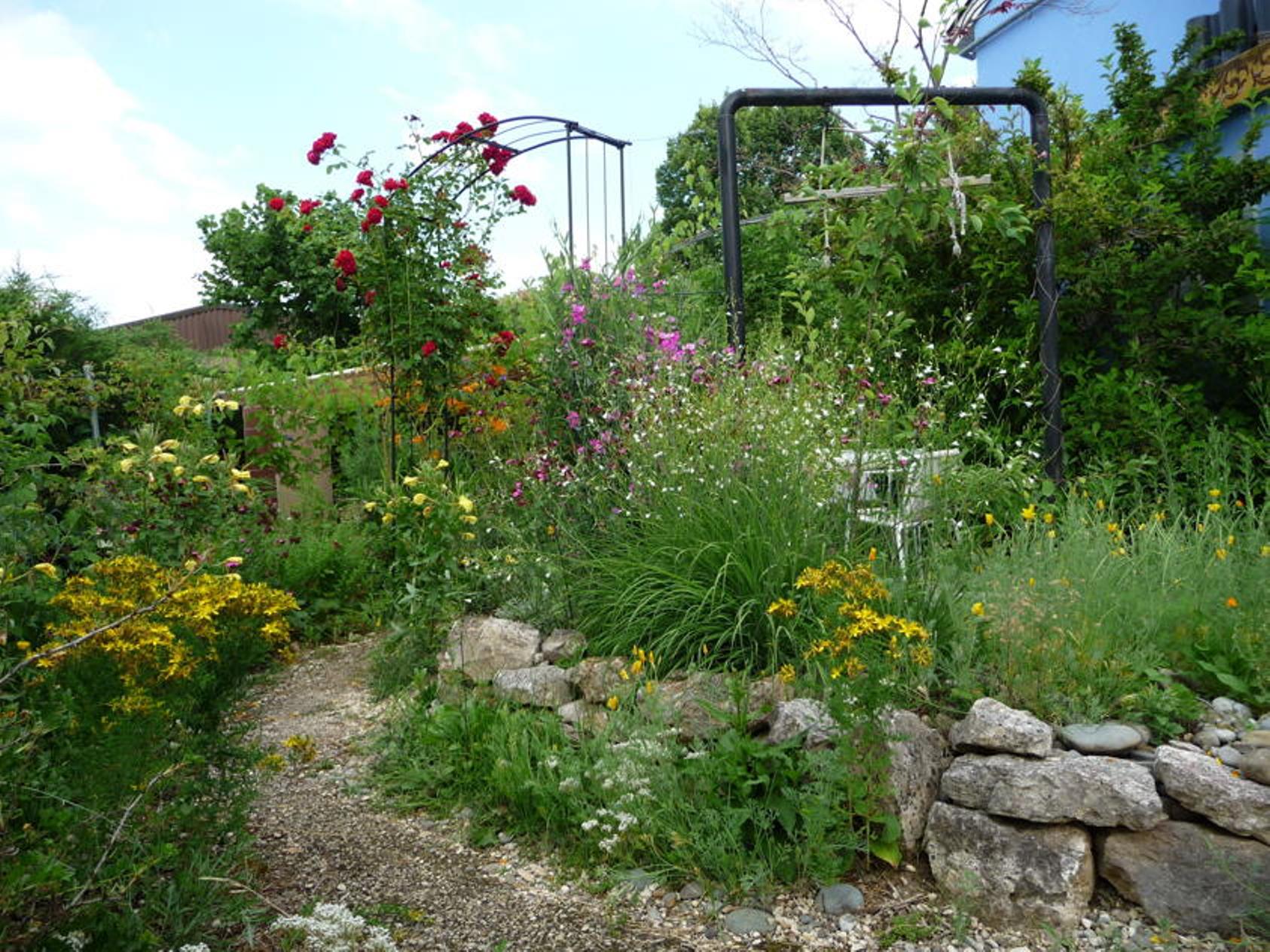 Typisk schweizerkøkken med farverige urter og blomster i Baselområdet, frodigt have