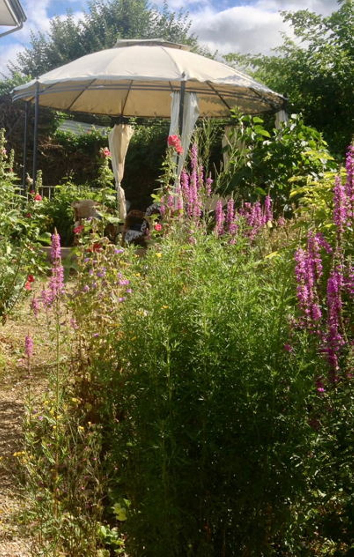 Nachmittagssnack im Garten mit bunten Blumen