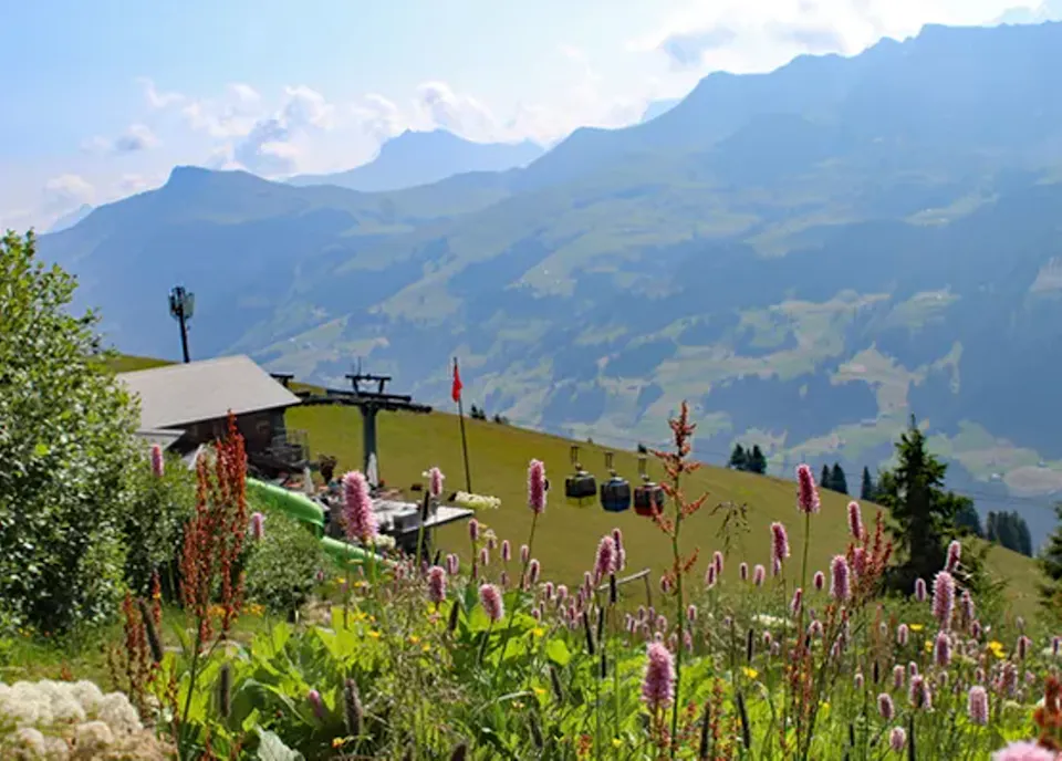 Tschentenalp