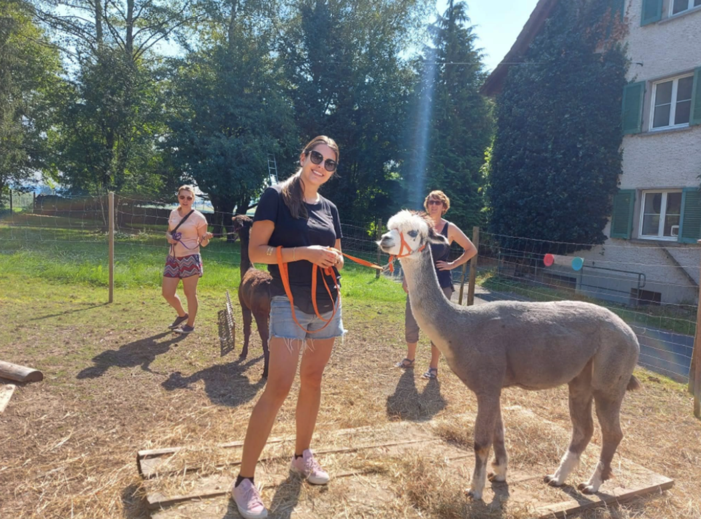 Przygoda z alpakami w Alpakable z gośćmi na łonie natury