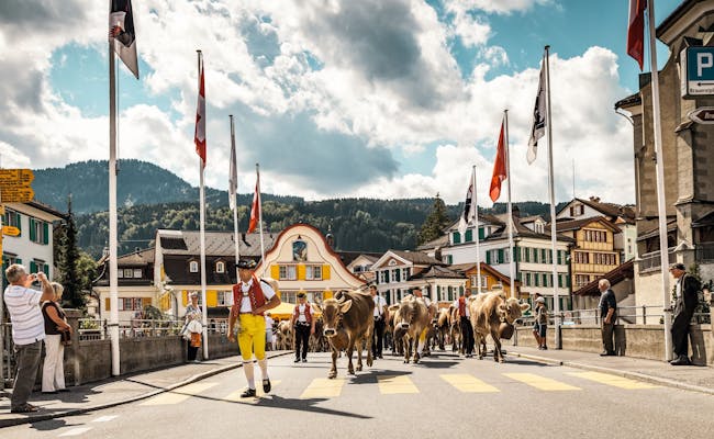 Ebenso wie in Appenzell (Foto: Schweiz Tourismus Jan Geerk)