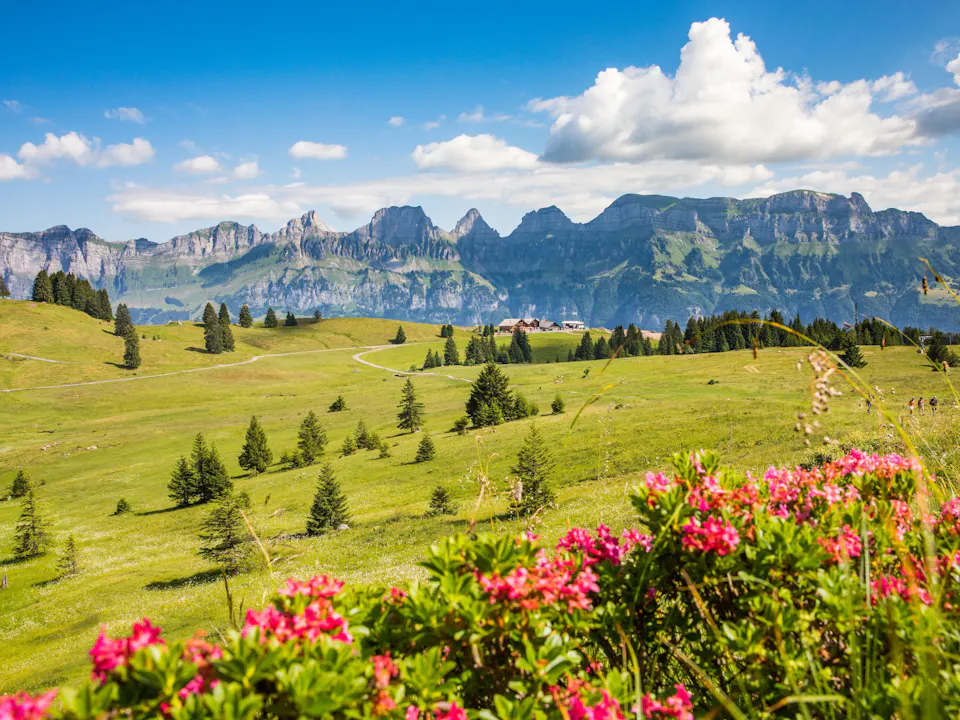 Sommer am Flumserberg 
