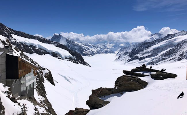 Plate-forme d'observation du Jungfraujoch (photo : Seraina Zellweger)
