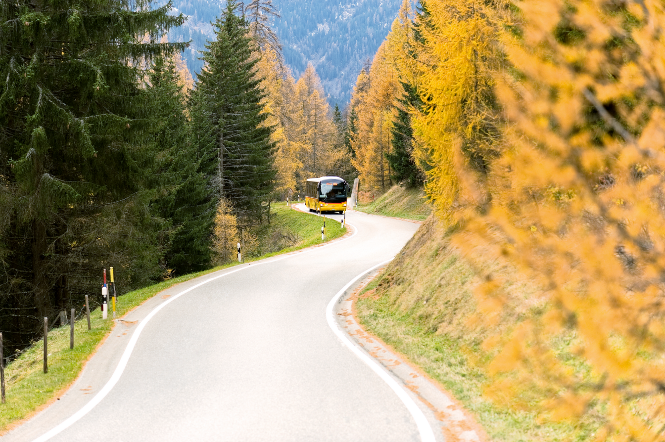렌저하이드: 다채로운 나무들 사이의 구불구불한 도로에서 버스가 있는 그림 같은 가을 풍경.