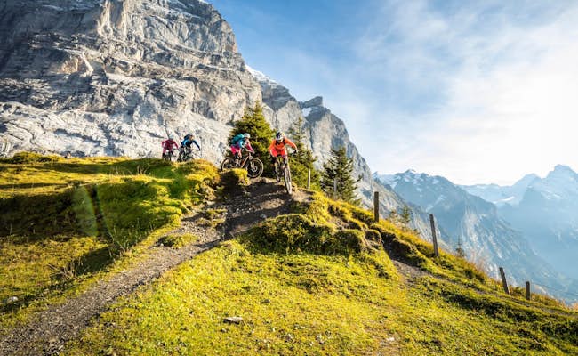 Mountain biking in summer in Grindelwald (Photo: Jungfrau Region)