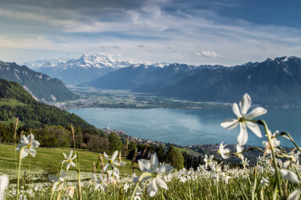 Montreux