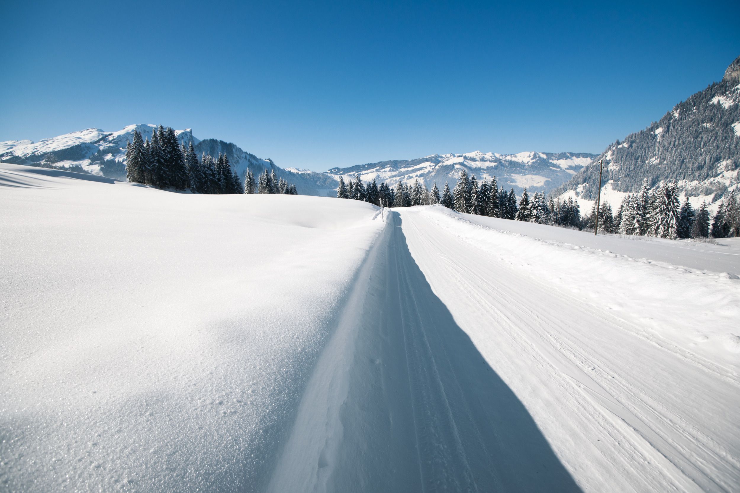 Skidanläggning Sörenberg: fantastiska skidbackar mellan snötäckta berg och skogar i Schweiz.
