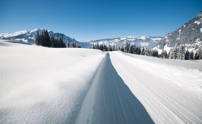 Skisportssted Sörenberg: fantastisk skis afsats mellem snedækkede bjergtoppe og skove i Schweiz.
