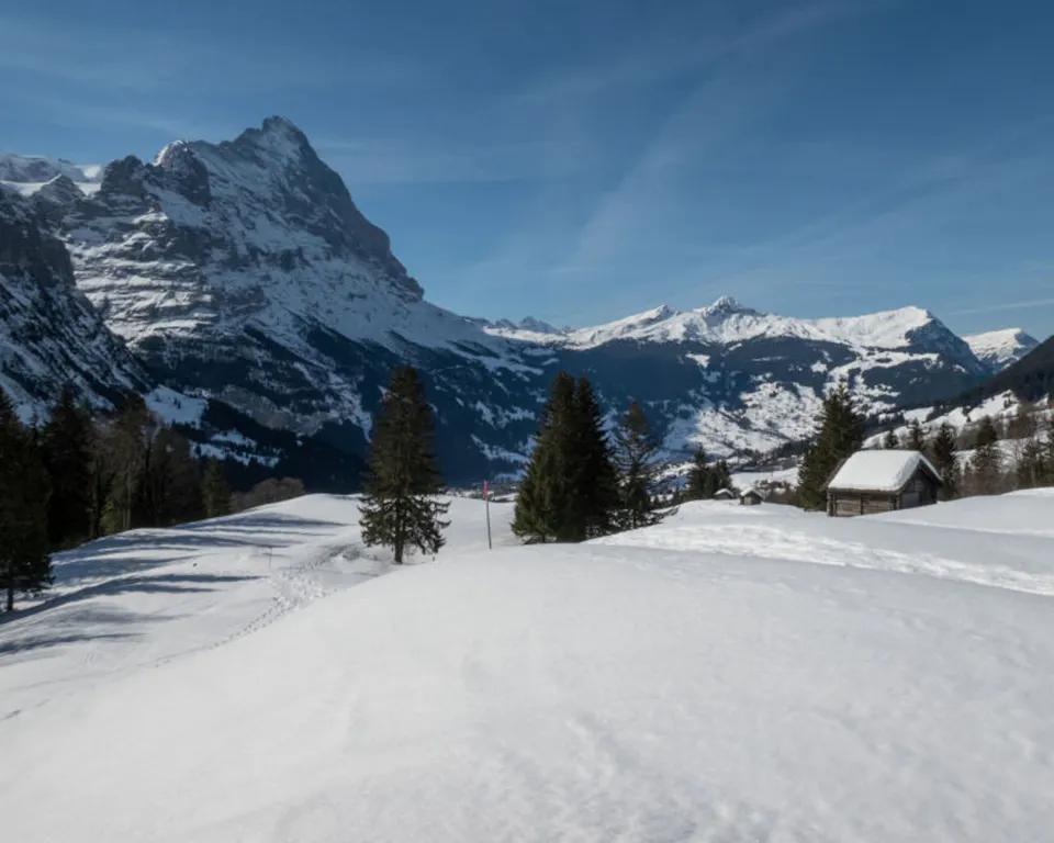Schneeschuhwandern Grindelwald