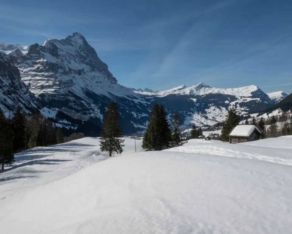 Schneeschuhwandern Grindelwald