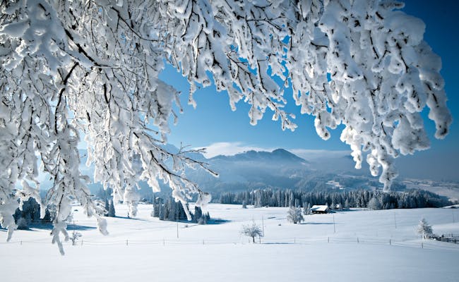 Schüpfheim : paysage hivernal dans la biosphère UNESCO avec des montagnes et des forêts enneigées.