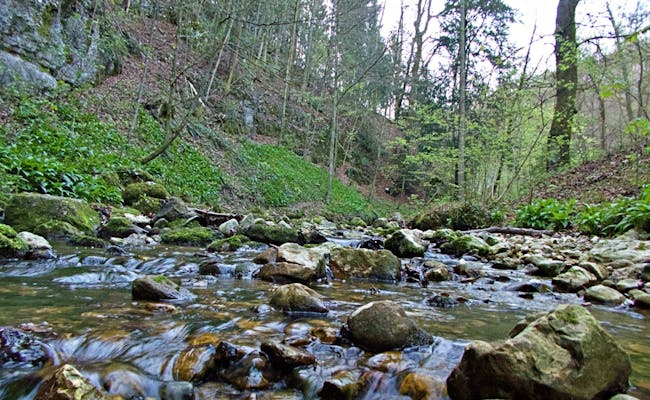  The Verena stream leads to the gorge (Photo: Seraina Zellweger)