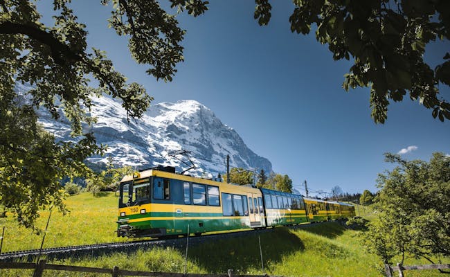 Wengernalpbahn : Visitez le trajet impressionnant en train vers la Kleine Scheidegg avec vue sur les Alpes.