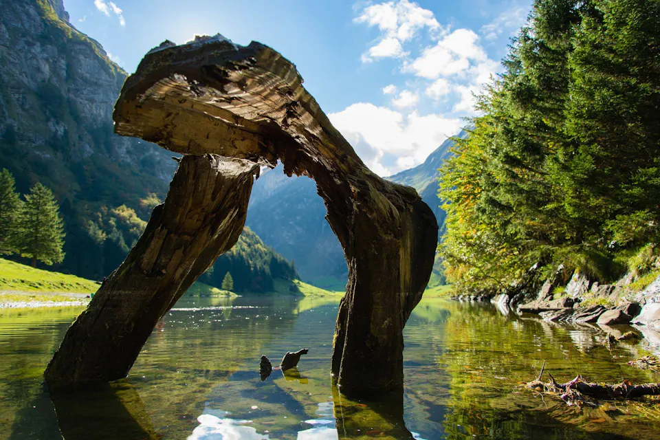 Seealpsee
