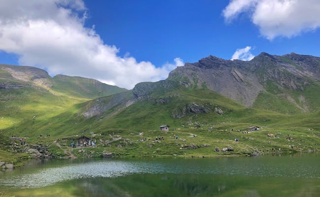 Bachalpsee: Paisagem pitoresca com reflexo das montanhas na água, ideal para caminhadas e relaxamento