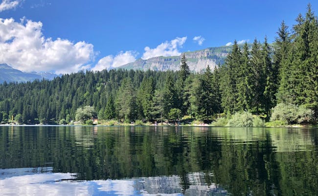 Caumasee:宁静的瑞士高山湖泊,夏天被森林环绕。