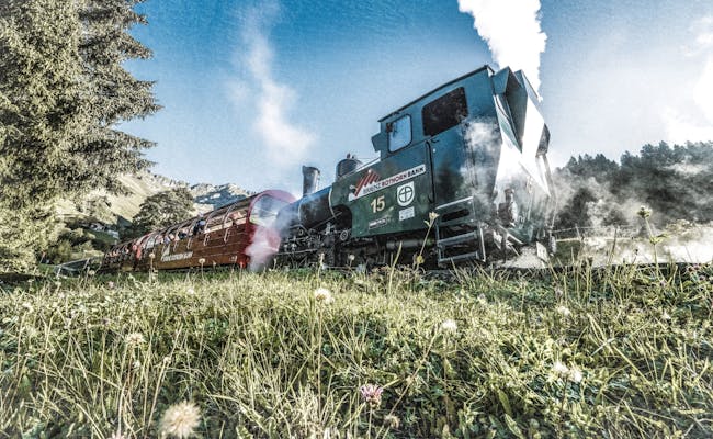 รถไฟไอน้ำ Brienzer Rothorn: locomotives ไอน้ำที่น่าประทับใจวิ่งผ่านธรรมชาติของเทือกเขาแอลป์.